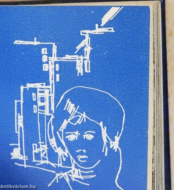 Kazincbarcika (minikönyv) (számozott) - Plakettel