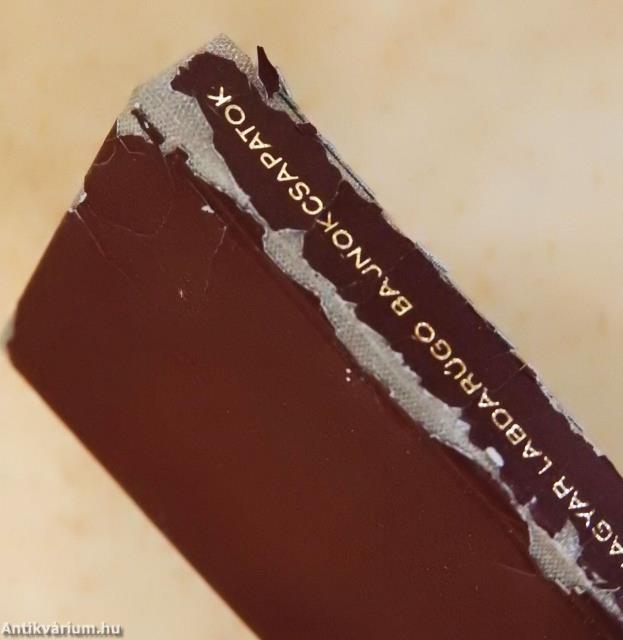 A magyar labdarúgó bajnokcsapatok 1901-1975 (minikönyv) (számozott)