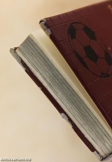 A magyar labdarúgó bajnokcsapatok 1901-1975 (minikönyv) (számozott)