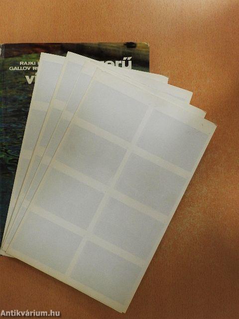 Korszerű vízilabdázás