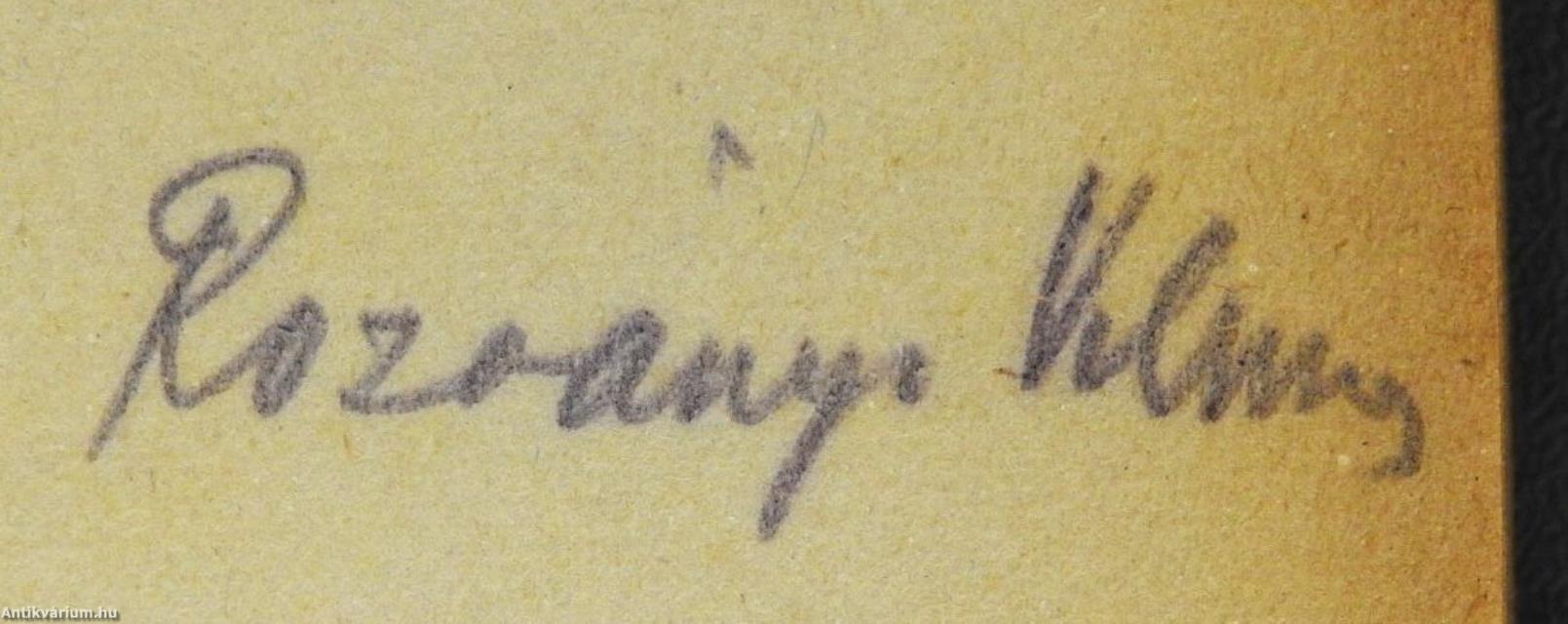 Virrasztó (dedikált példány)