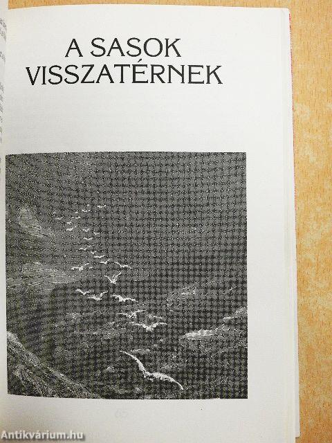 Krisztus ítélőszéke előtt