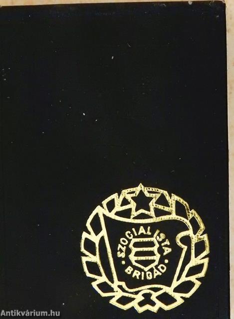 Szocialista brigádok Budapesten (minikönyv)