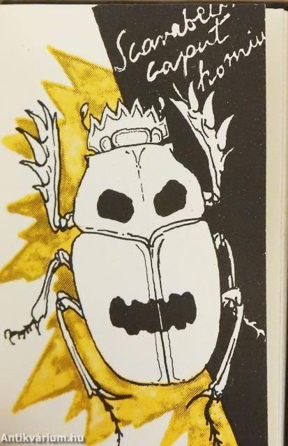 Az aranybogár (minikönyv)