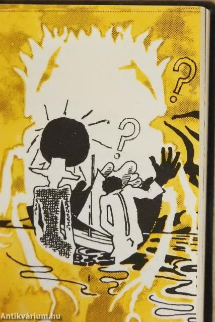 Az aranybogár (minikönyv)