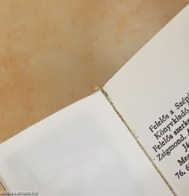 Kecskemét (minikönyv)