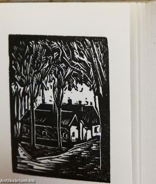 Kecskemét (minikönyv)