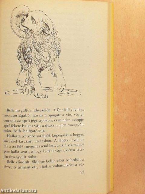 Belle és Sébastien