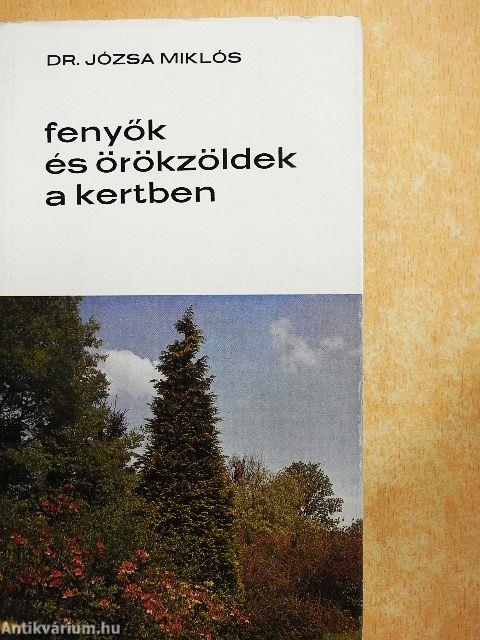 Fenyők és örökzöldek a kertben