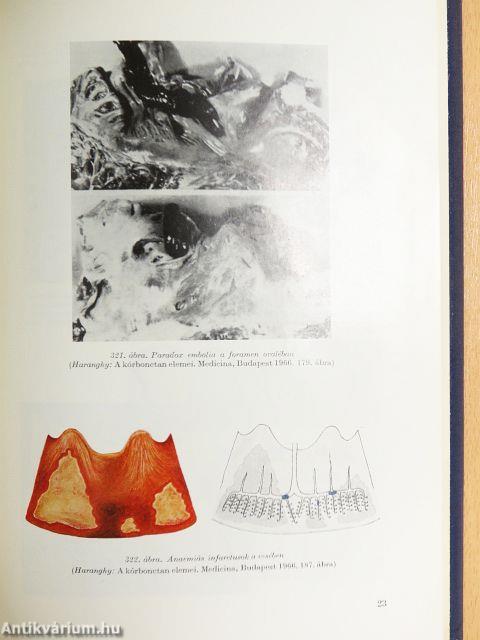 Élettan, kórélettan