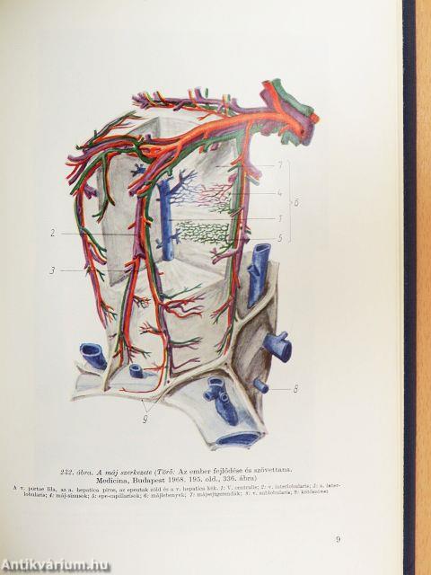 Élettan, kórélettan