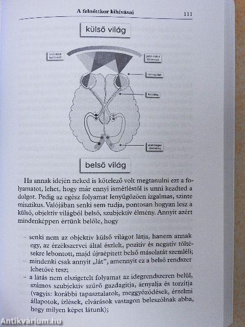 Mit üzen az életed?