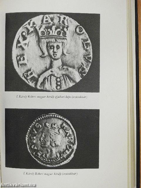 Az Anjou-ház nyomában