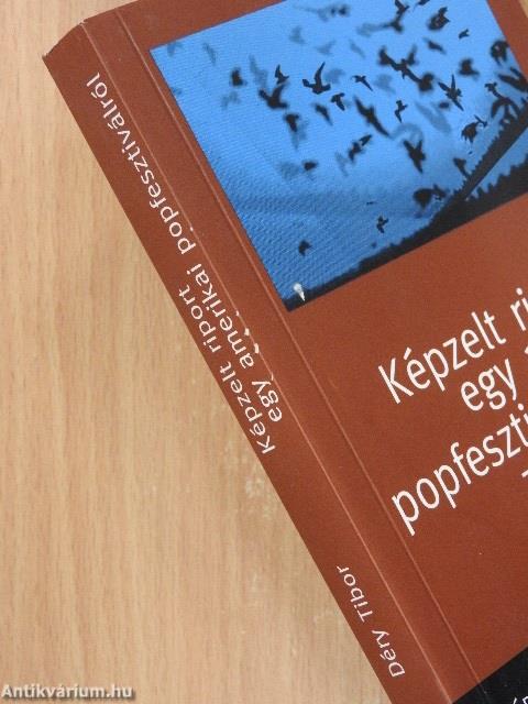 Képzelt riport egy amerikai popfesztiválról