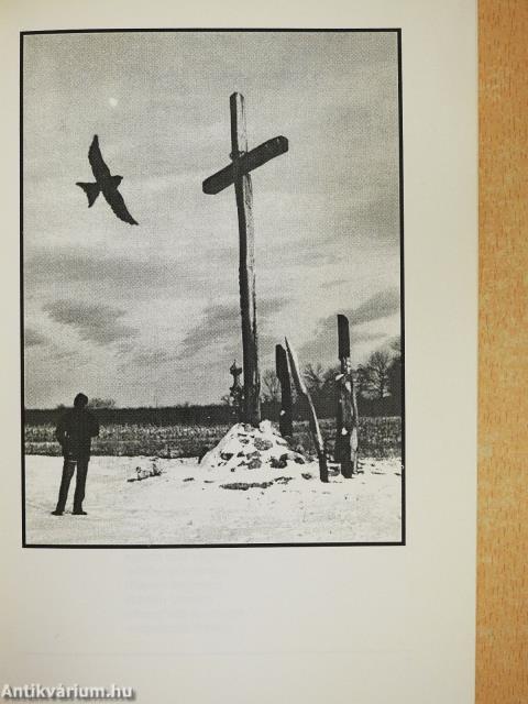 És vannak még szavak (dedikált példány)