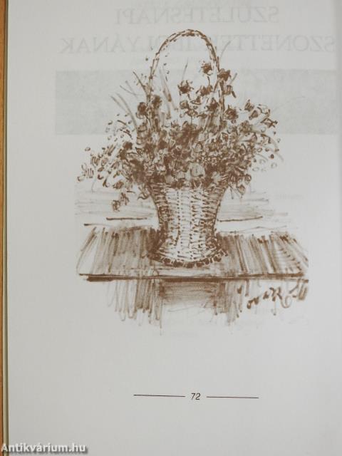 Liliputi emberke (dedikált példány)