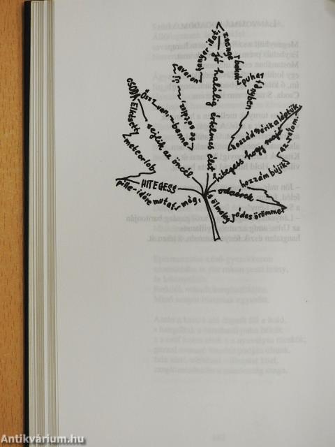 Minden versem (dedikált példány)