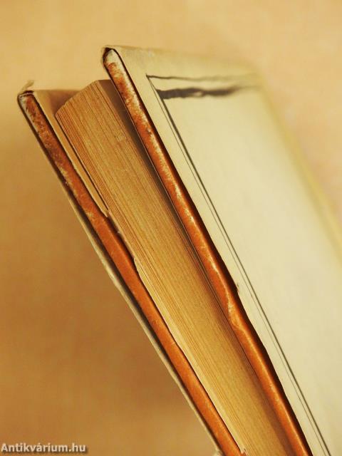 A megfigyelő (dedikált példány)