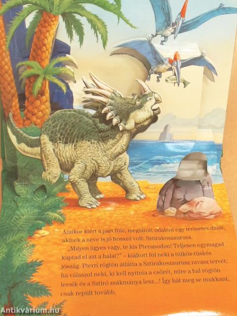 Pterri első repülése