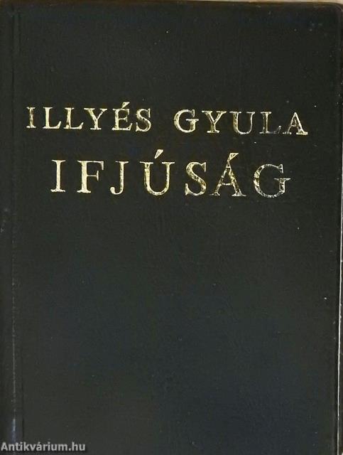 Ifjúság (minikönyv)