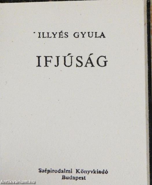 Ifjúság (minikönyv)