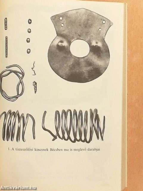 A tiszaszőlősi kincs