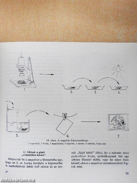 Első nagyításaim