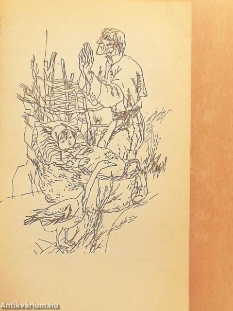 Szent Péter esernyője