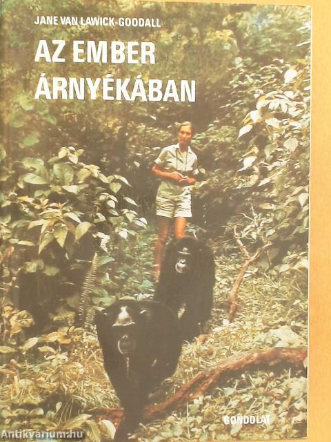 Az ember árnyékában