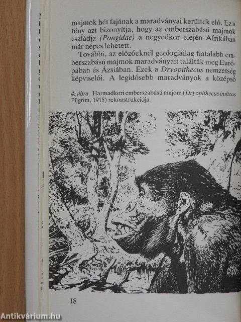 Az ősember és elődei