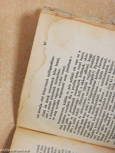 A modern magyar irodalom