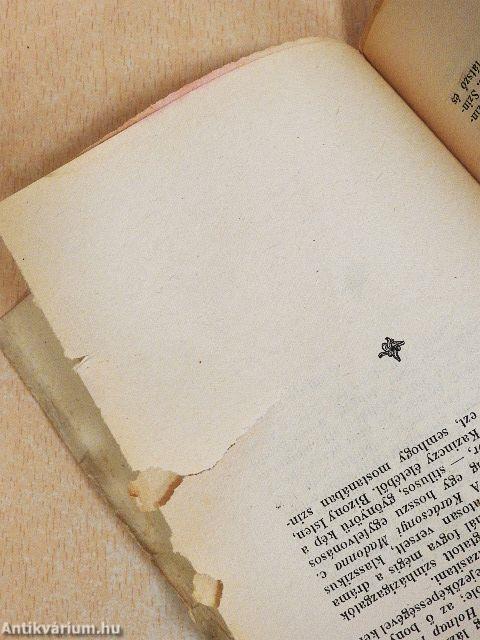 A modern magyar irodalom