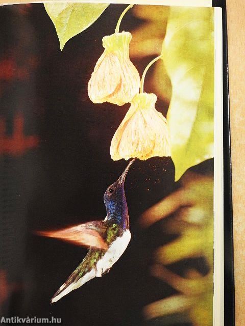 Fotografieren leicht gemacht