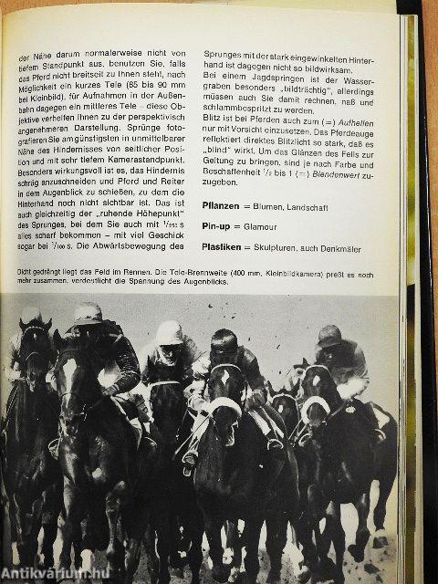 Fotografieren leicht gemacht