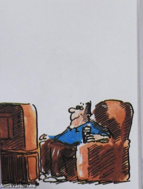 Örökké fiatal (minikönyv)