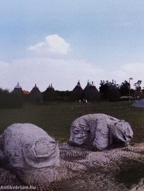 Pusztaszer (minikönyv)