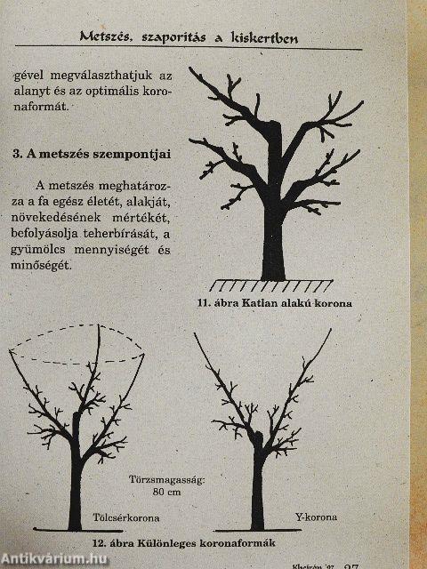 Metszés, szaporítás a kiskertben