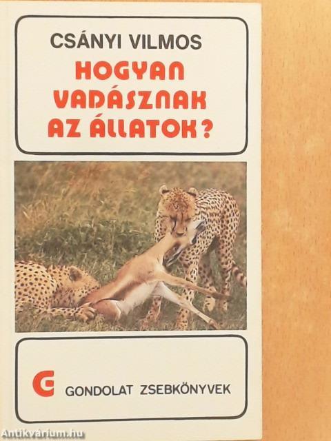 Hogyan vadásznak az állatok?