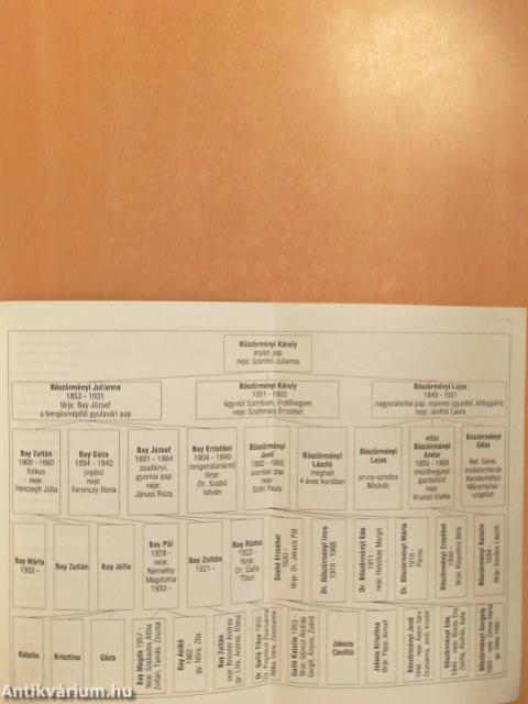 Bay Zoltán és Németh László