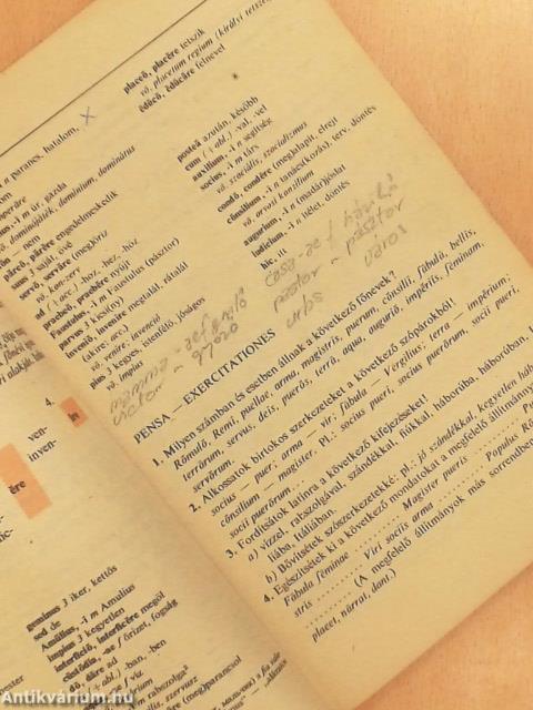 Latin nyelvkönyv I.