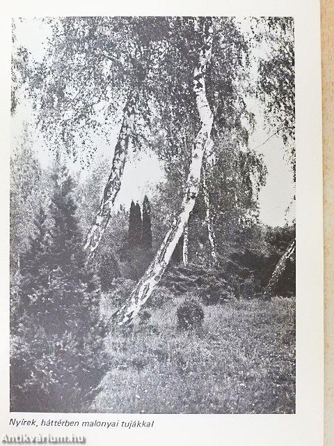 Kám - Jeli arborétum