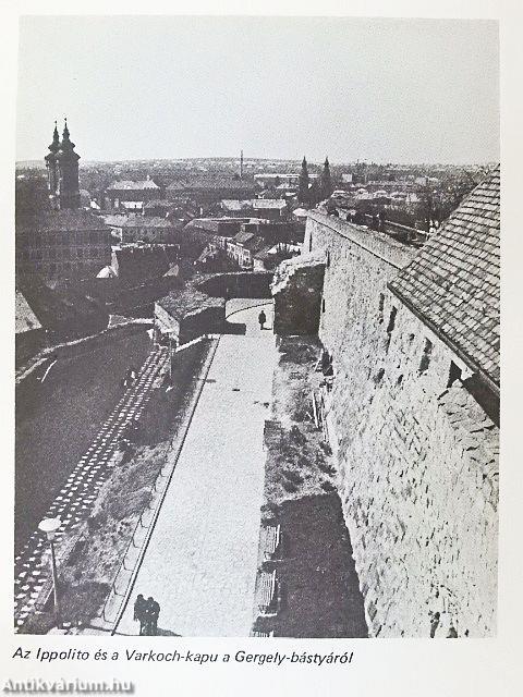 Eger - A vár hadi története