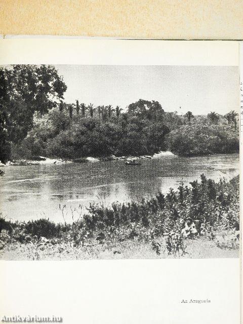 Az Amazonas őserdeiben