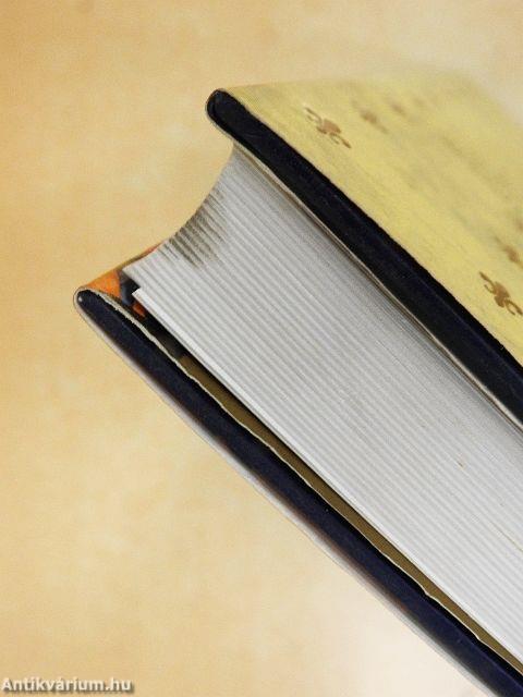 Arthur király - A látókő