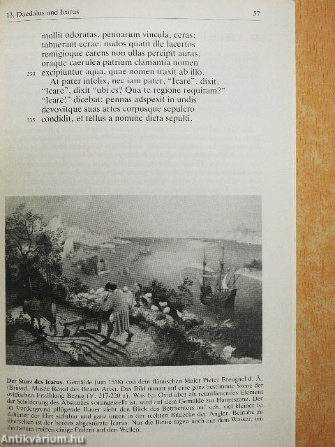 Ovid - Textband/Kommentarband