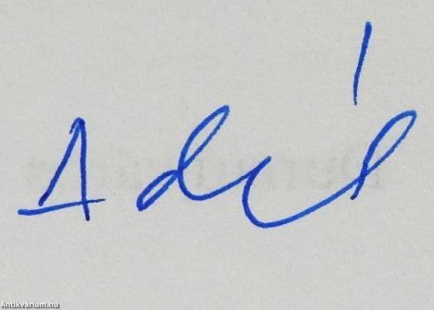 Törött tükör (dedikált példány)