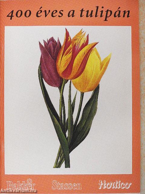 400 éves a tulipán