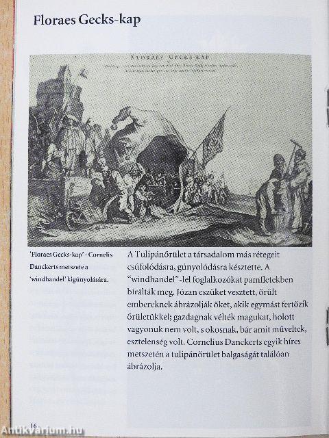 400 éves a tulipán