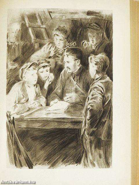 A szokolini fenyves titka