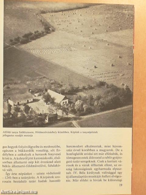 Apáról fiúra